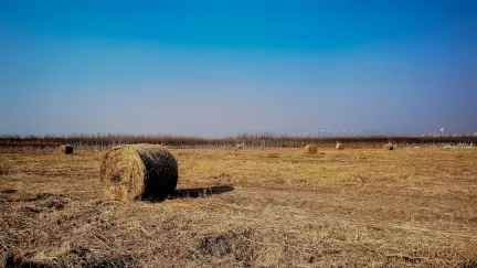 Casino Slot Shack Aplicación móvil